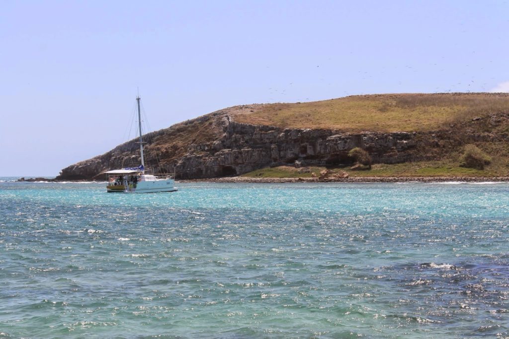 whales abrolhos brazil bahia