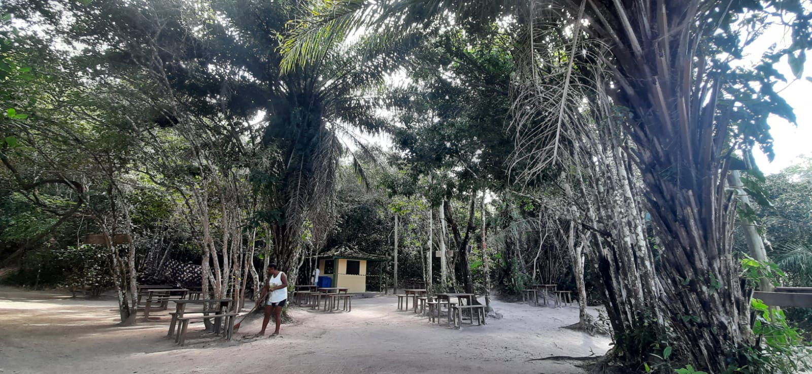 reserva sapiranga praia do forte bahia