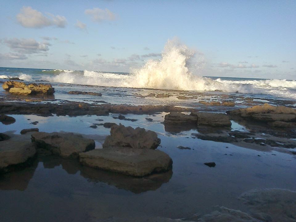 praias do conde bahia