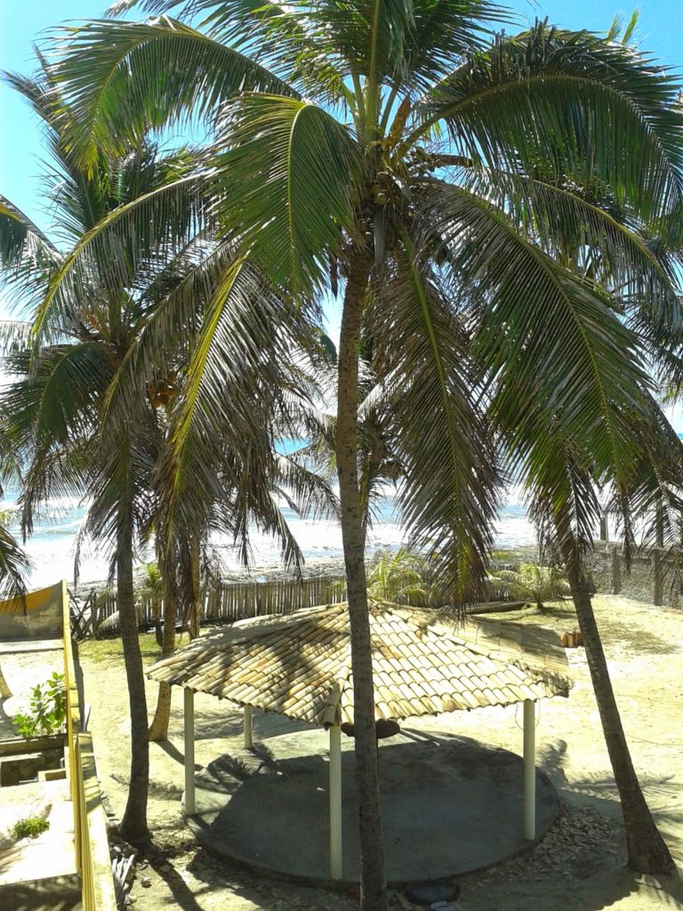 praias do conde bahia