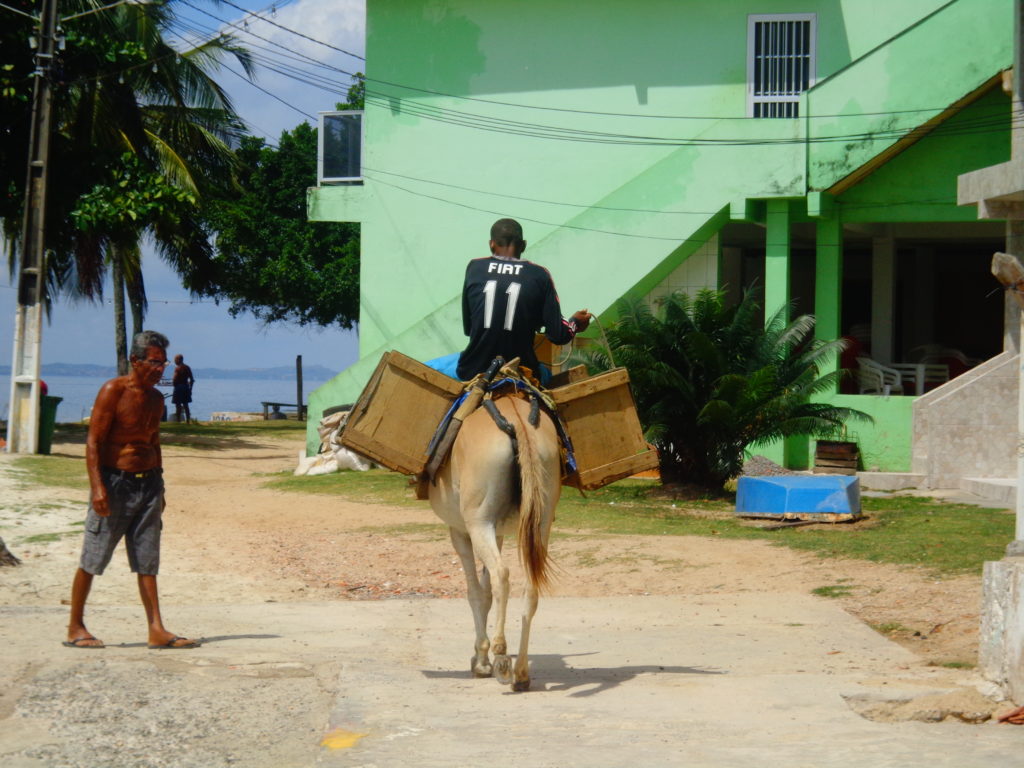 praia das neves ilha de maré burro 