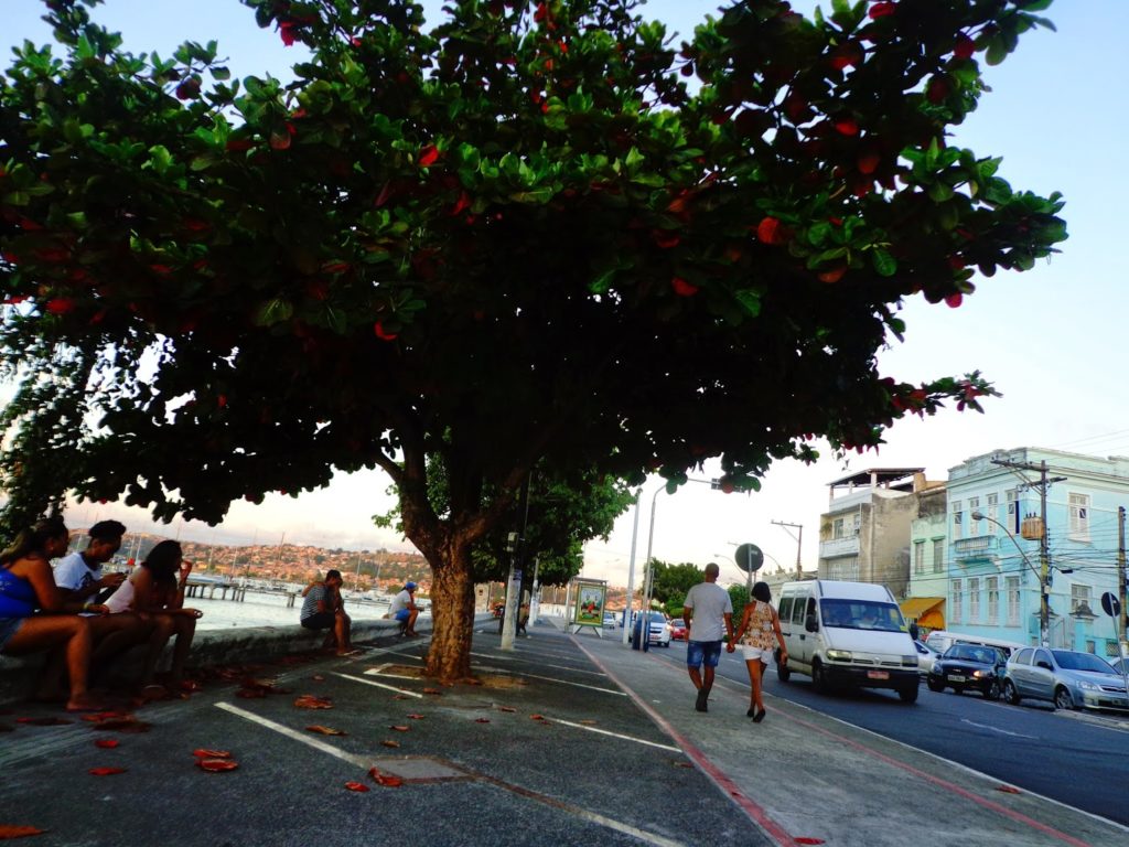 salvador sorveteria da ribeira
