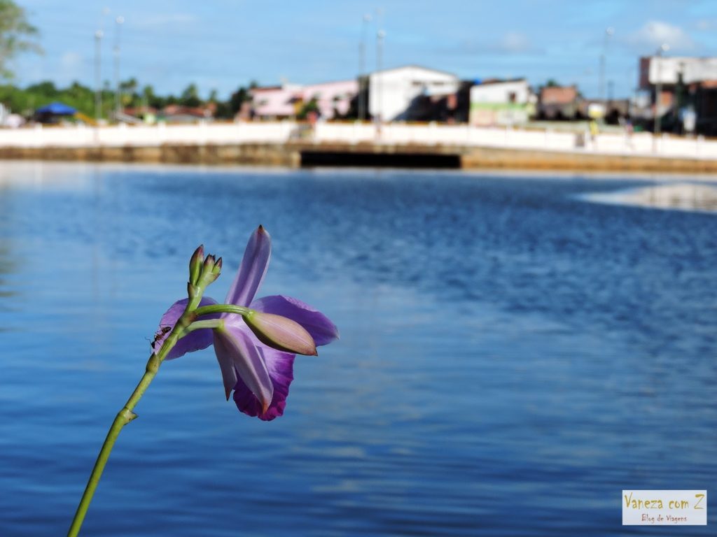 como chegar na peninsula de marau bahia