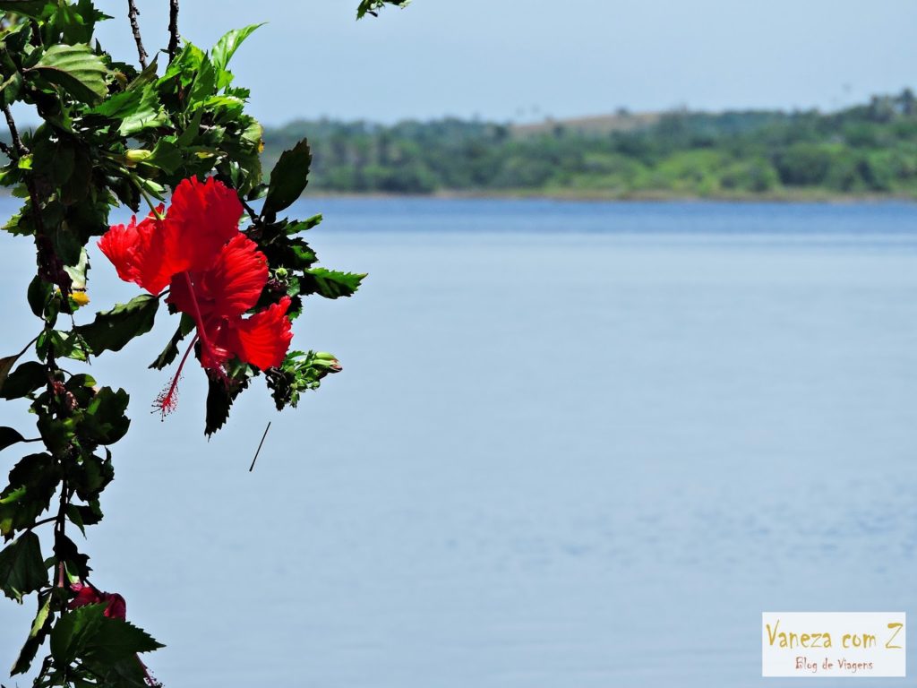 o que ver na peninsula de marau na bahia