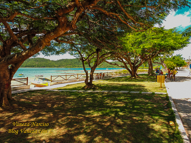 ilha de bom jesus dos passos bahia