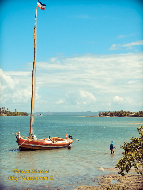 ilha de bom jesus dos passos bahia