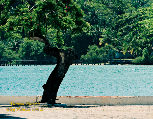 ilha de bom jesus dos passos bahia