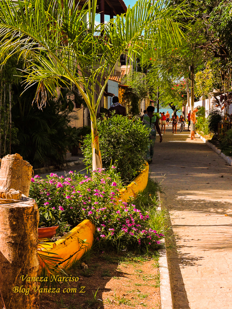 ilha de bom jesus dos passos bahia