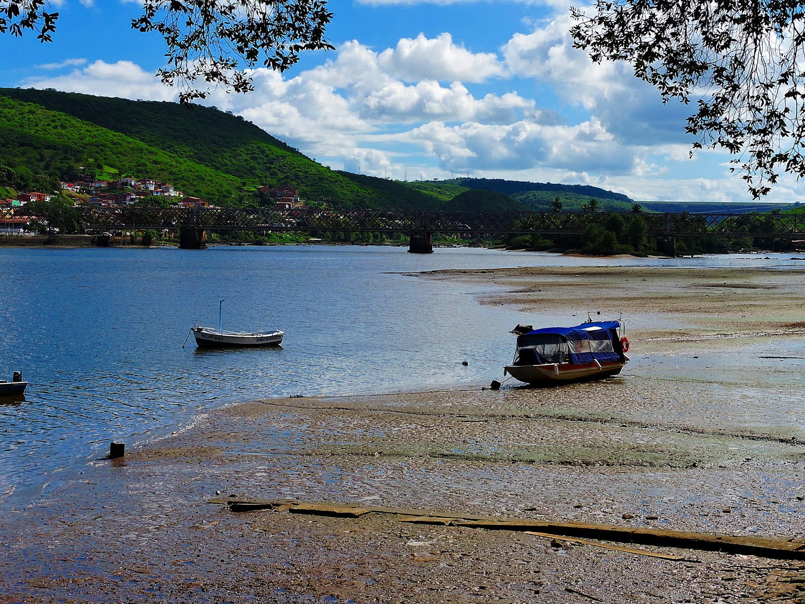 Passeios de barco