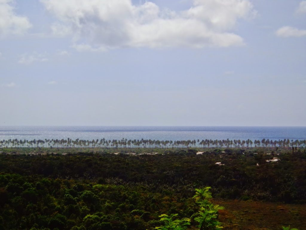 mirante de imbassai litoral norte da bahia