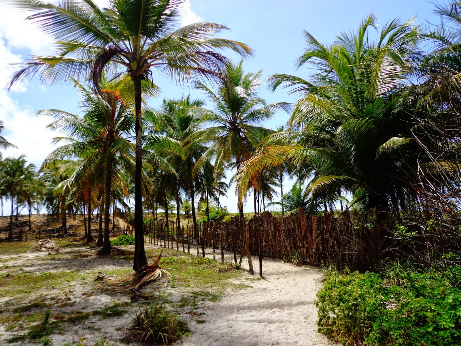 praia do diogo bahia