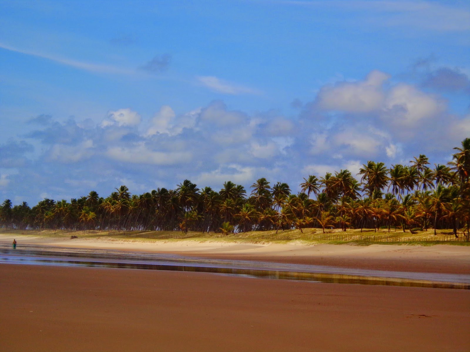 praia do diogo bahia