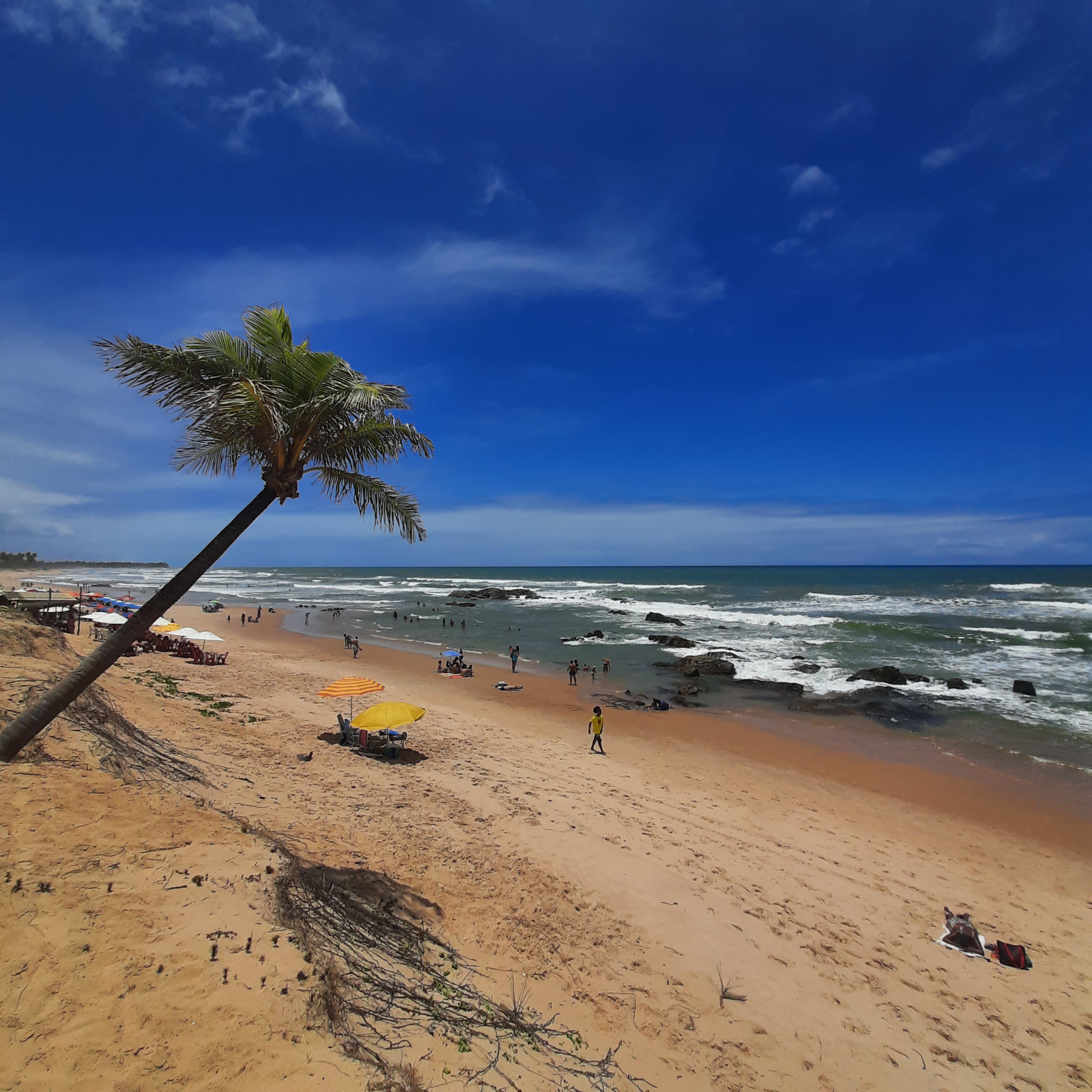 praia do diogo