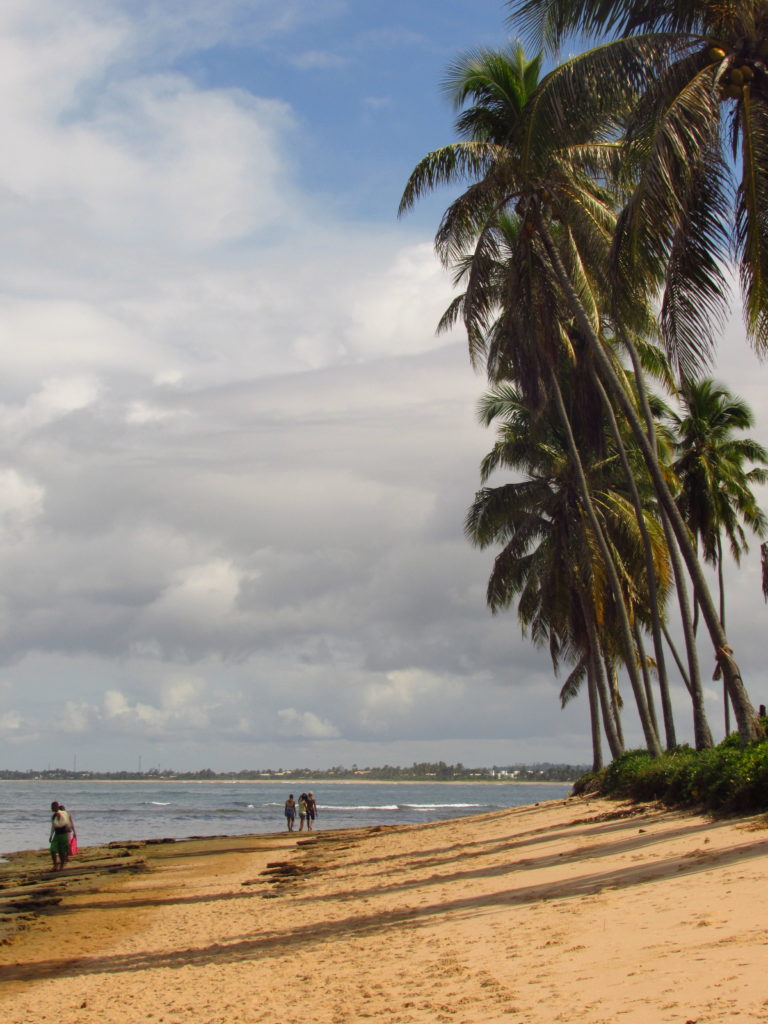 lagosta na brasa point do folha praia do forte