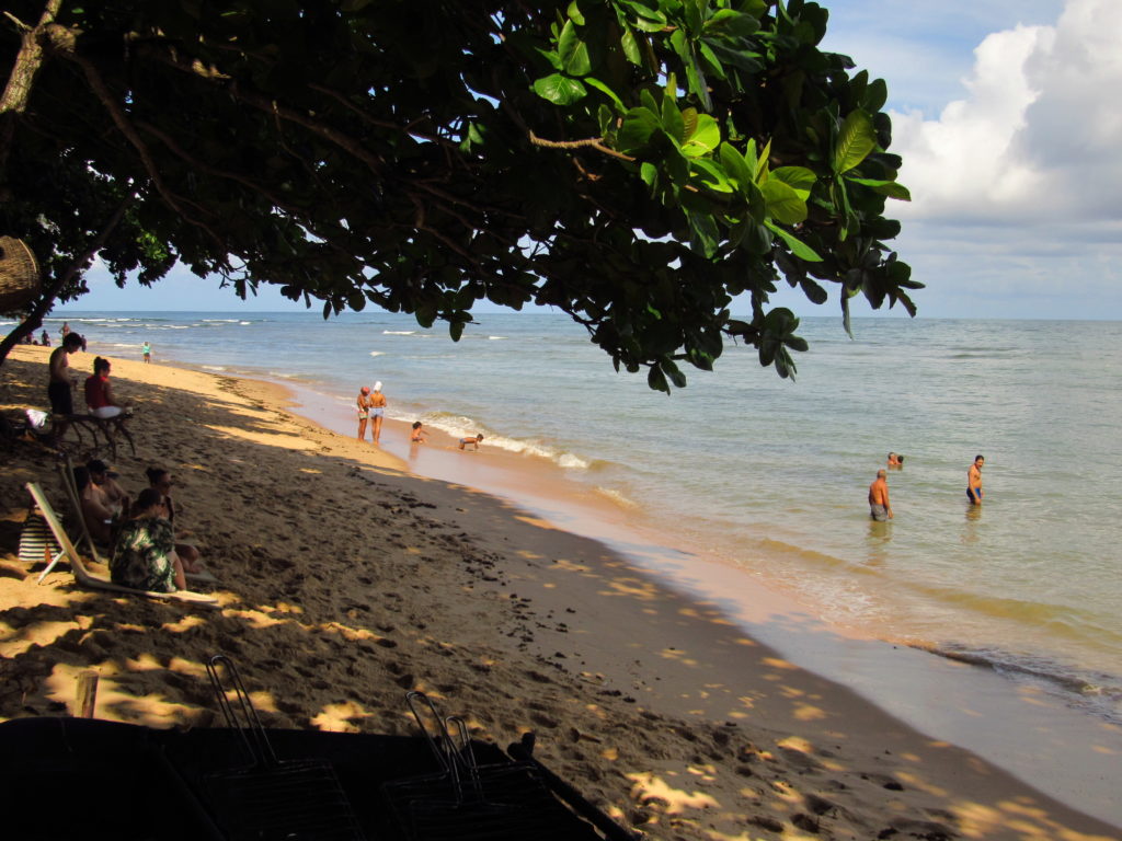 lagosta na brasa em praia do forte point do folha