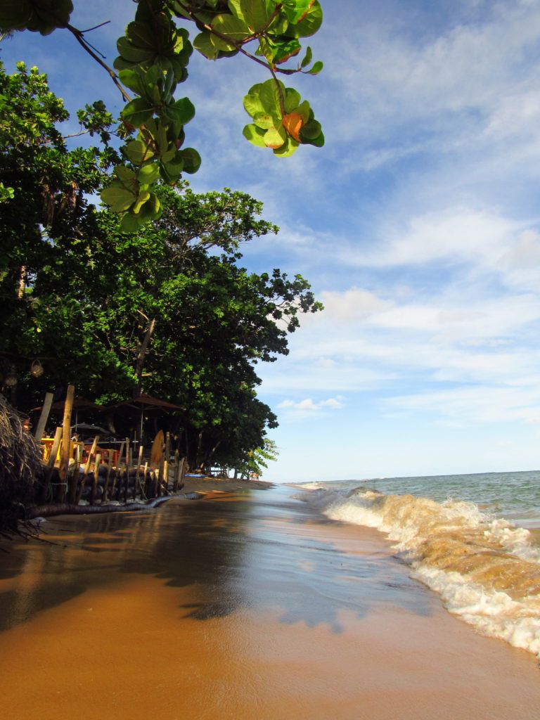 lagosta na brasa em praia do forte point do folha