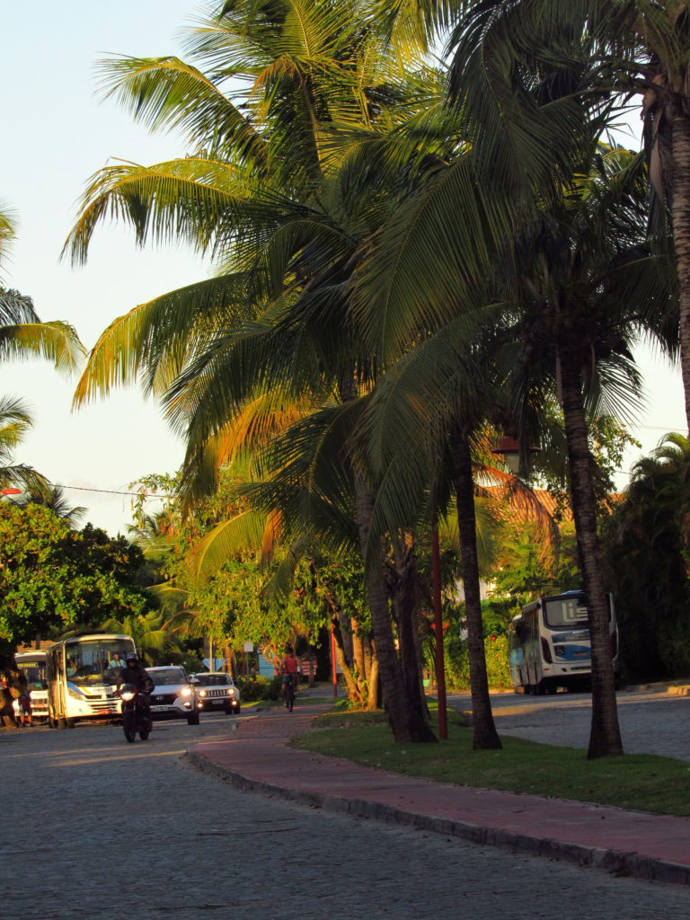 fim de linha do transporte publico para lagosta na brasa em praia do forte