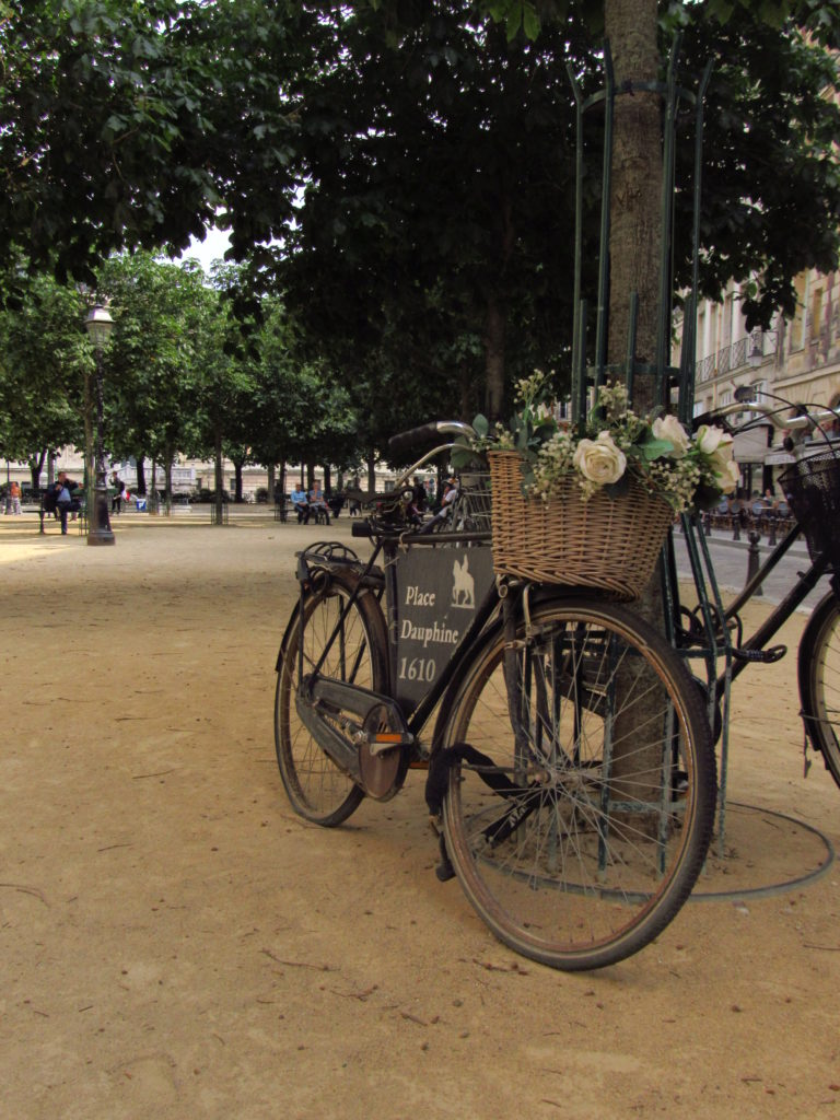 ilhas do rio sena em paris