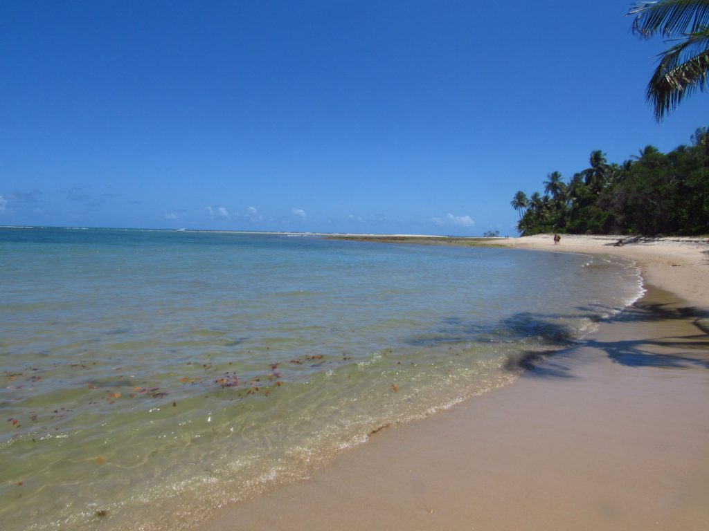 ilha de boipeba na bahia