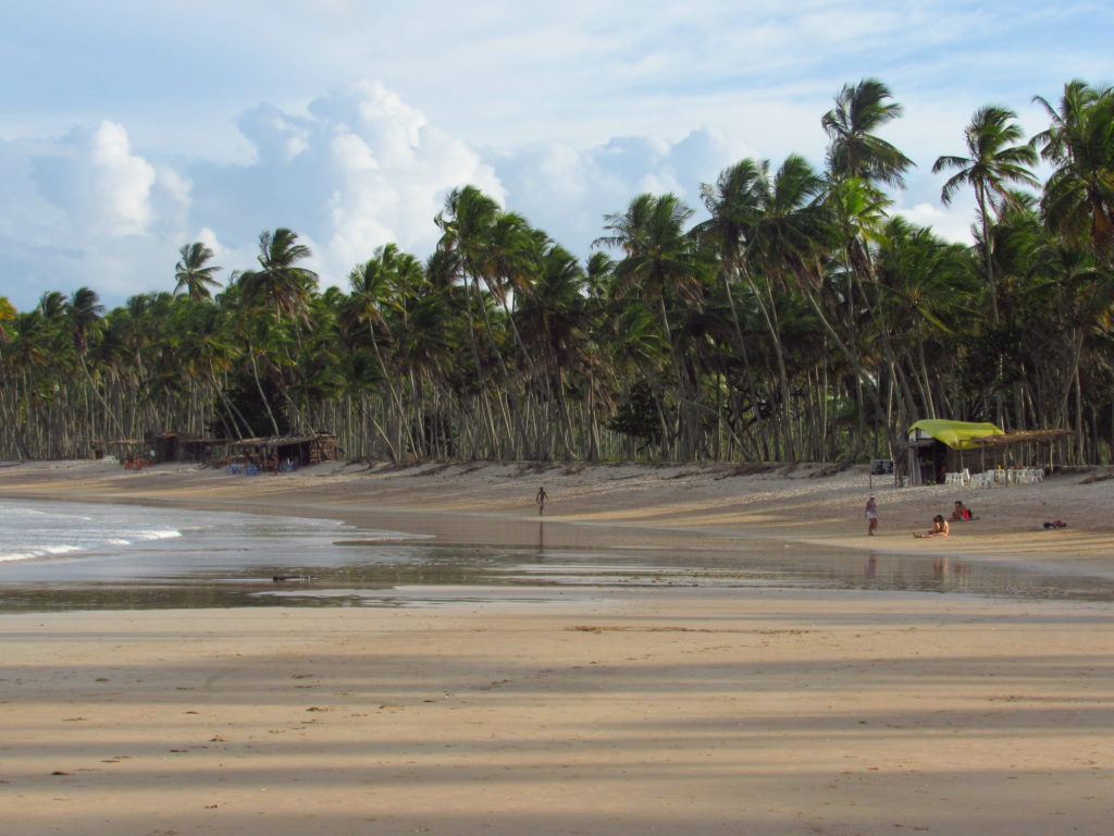 ilha de boipeba na bahia