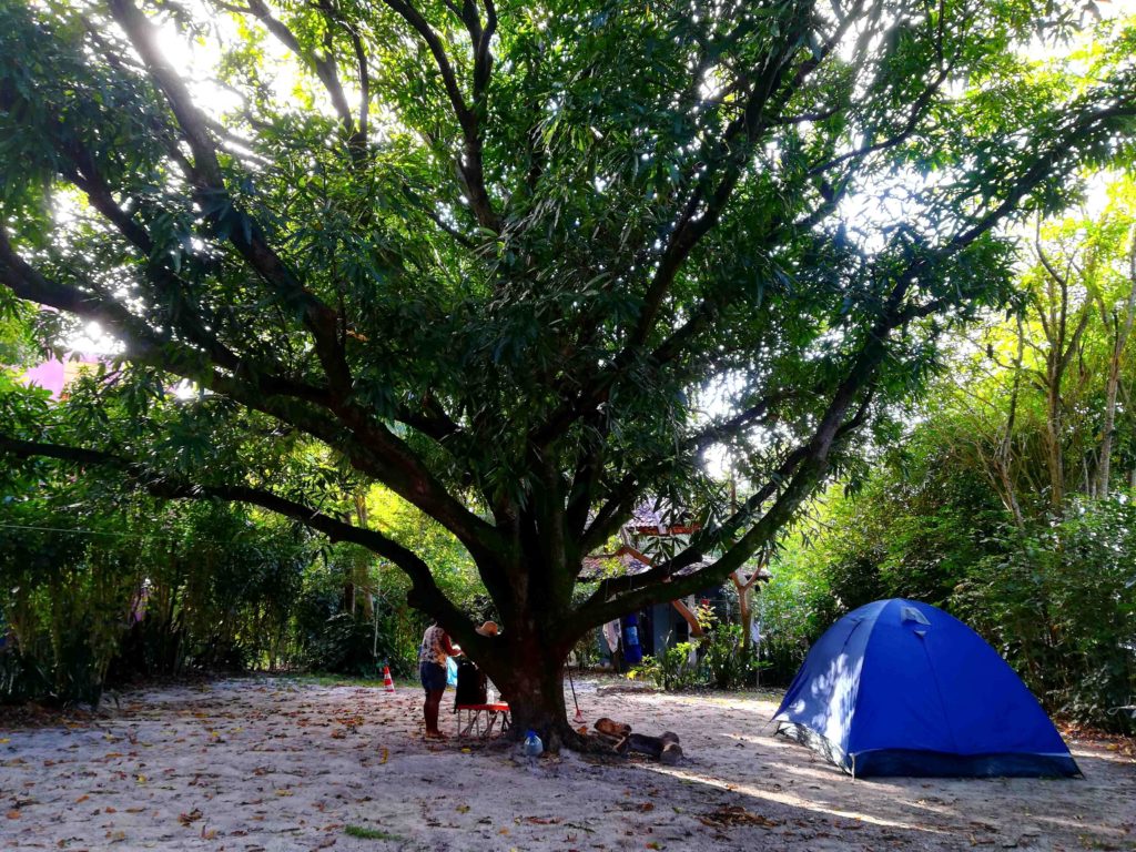 camping tendal diogo bahia