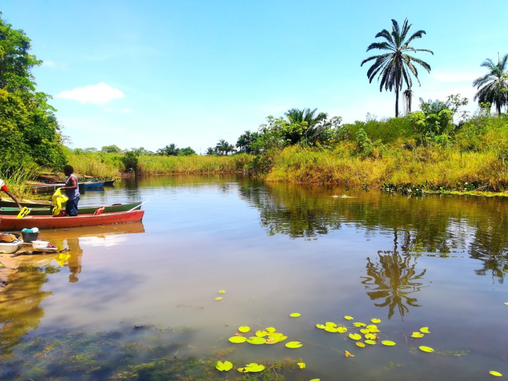 pantanal marimbus e piscinas do rio roncador