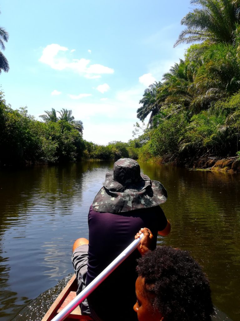 pantanal marimbus e piscinas rio roncador