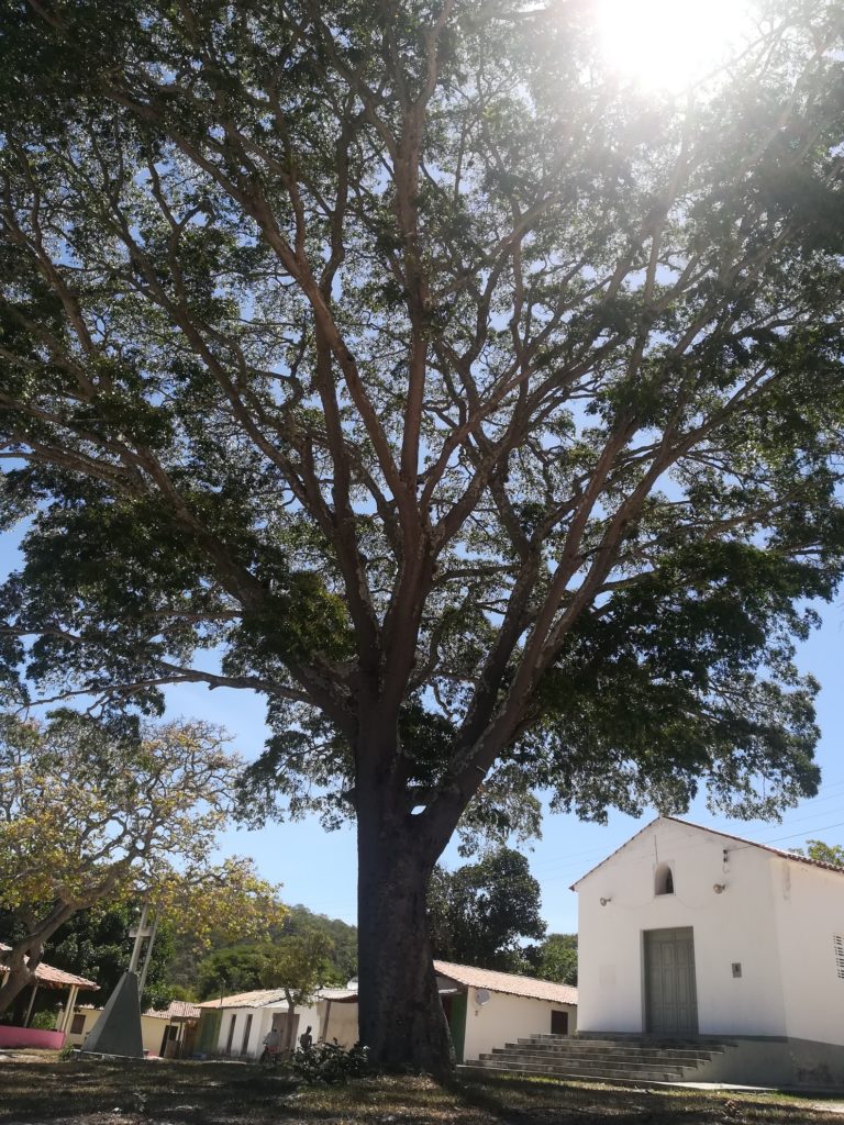 piscinas naturais e comunidades rio de contas bahia