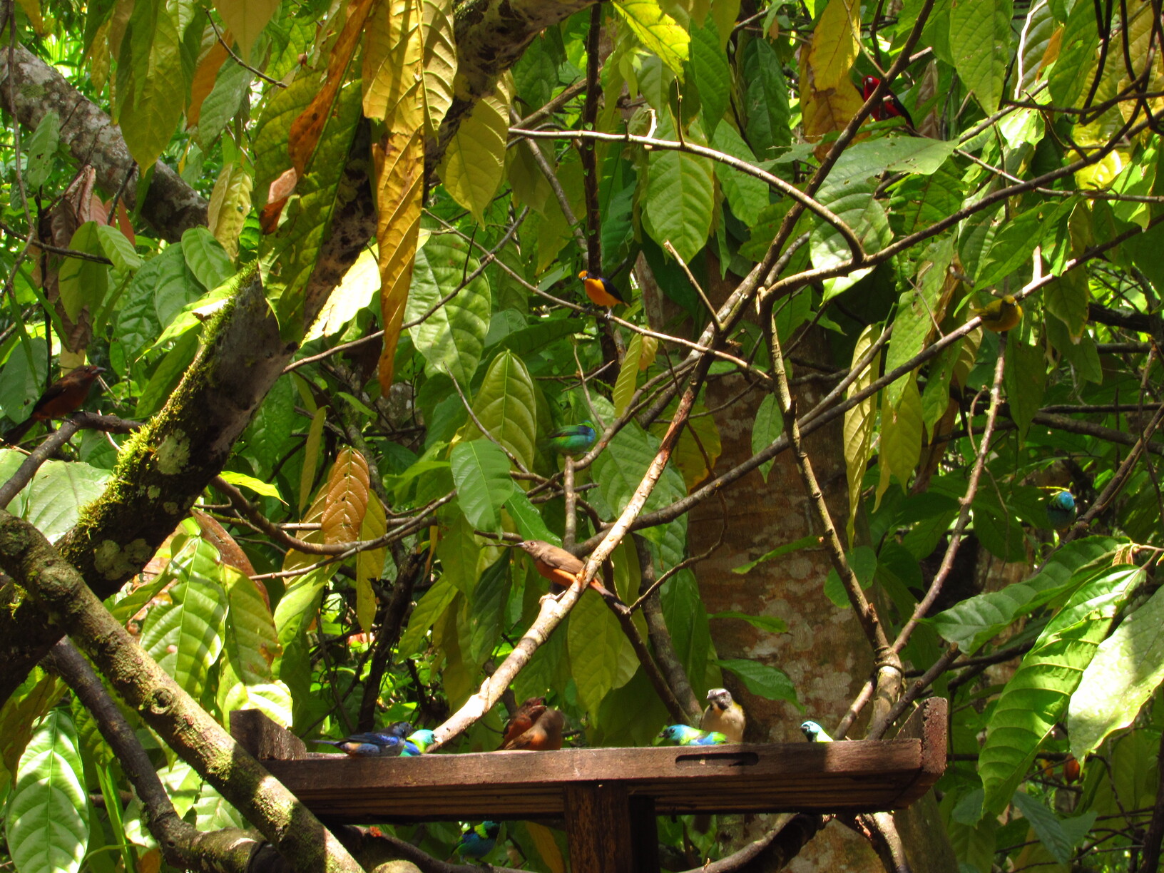 turismos de experiencia cachoeira do cleandro sabores do quilombo