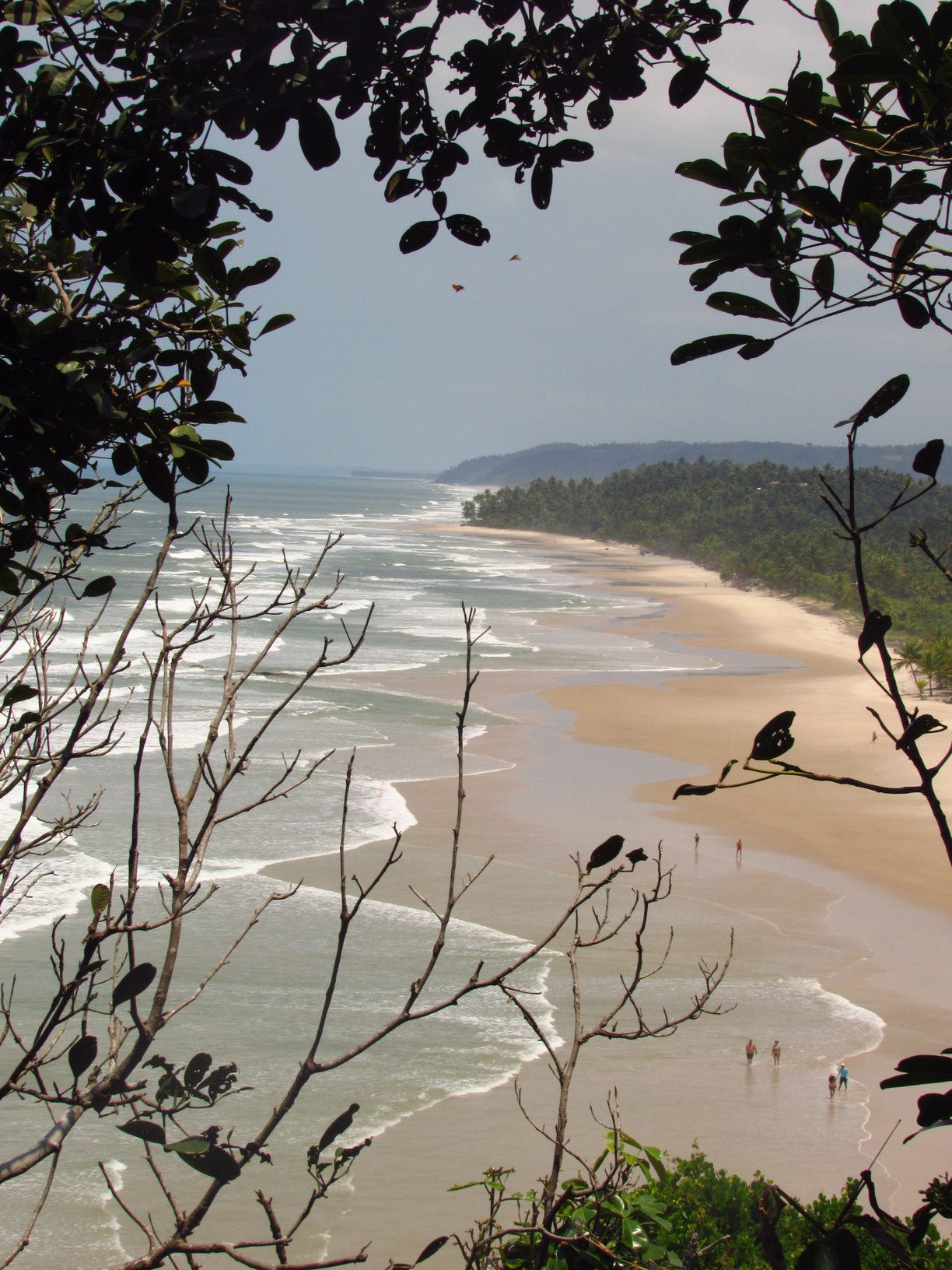 praia itacarezinho itacare bahia