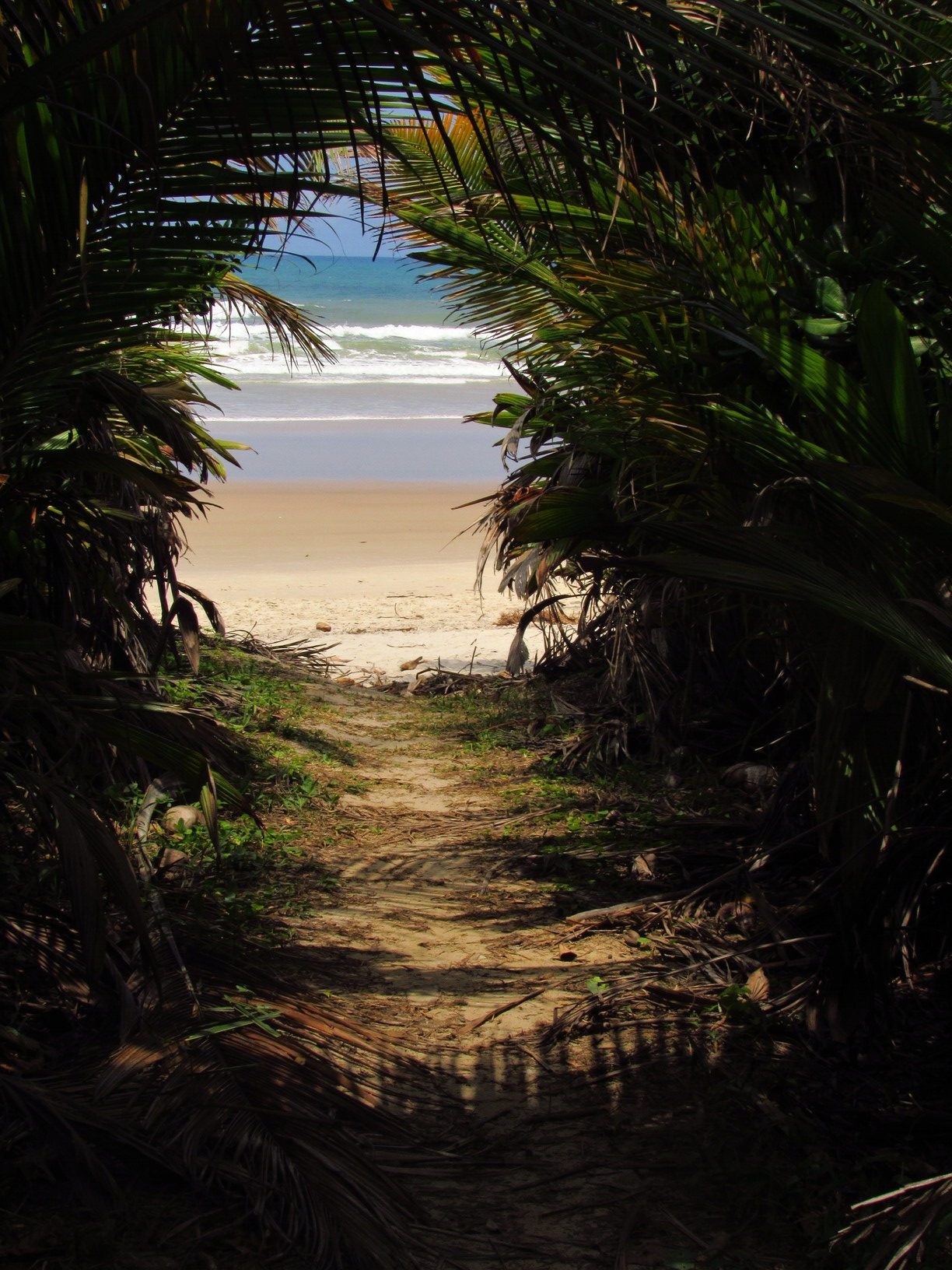 praia itacarezinho itacare bahia