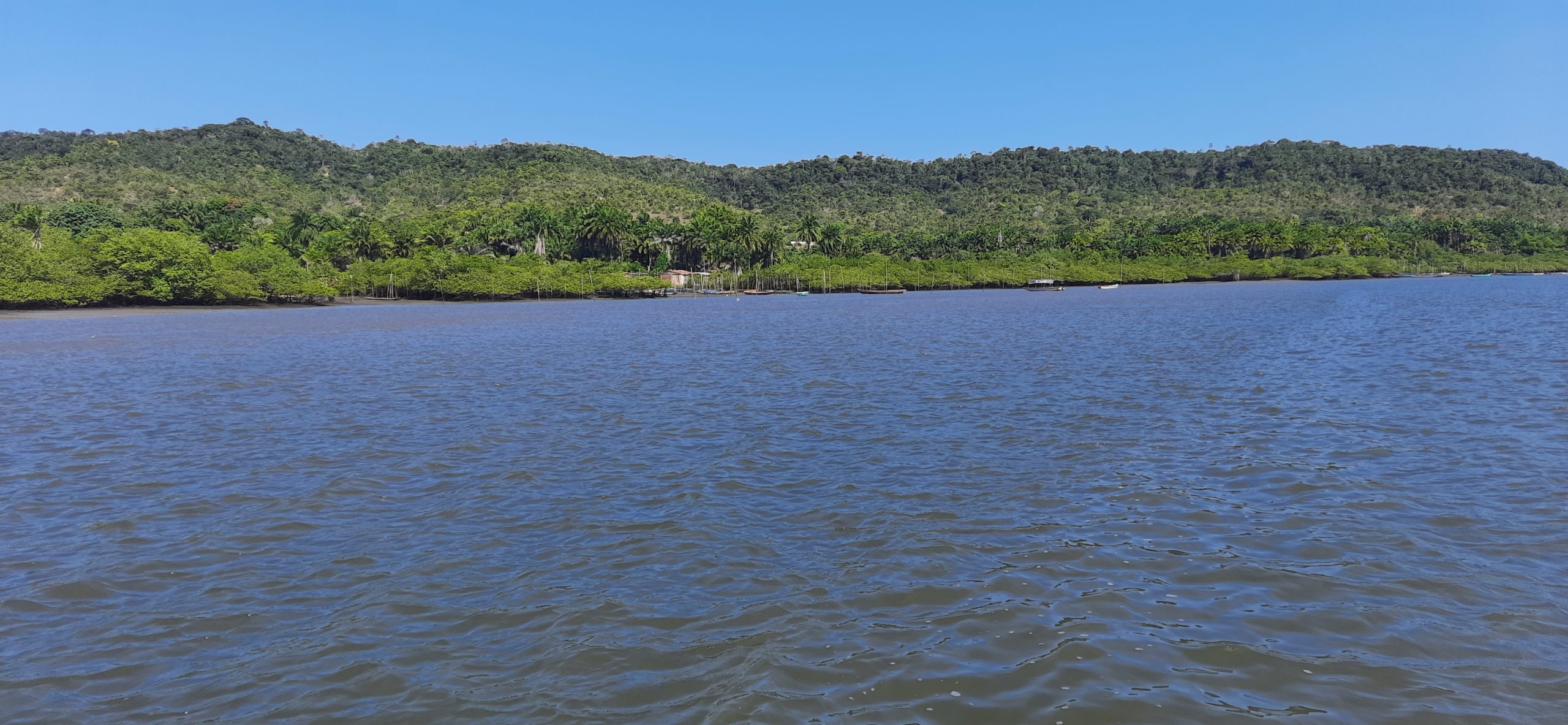 passeio de barco rio paraguacu