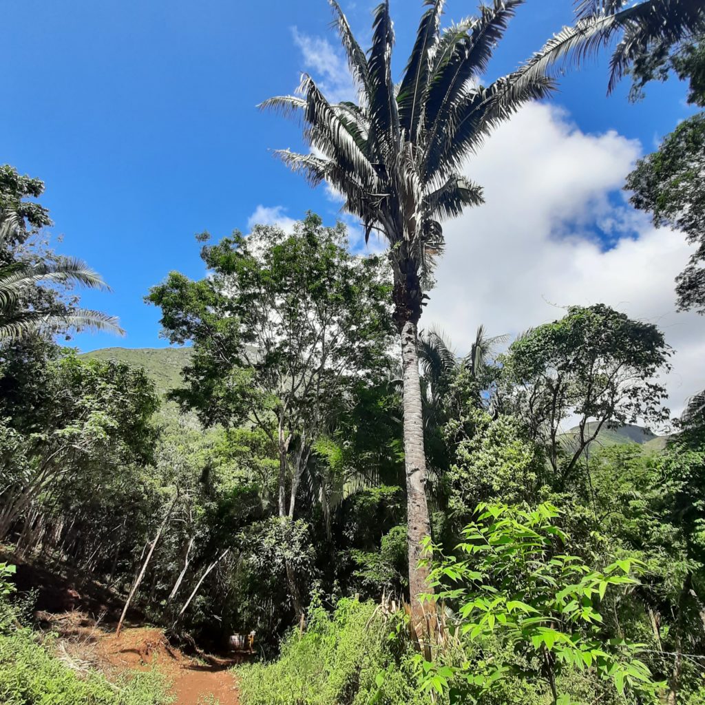 itaitu jacobina na bahia roteiro