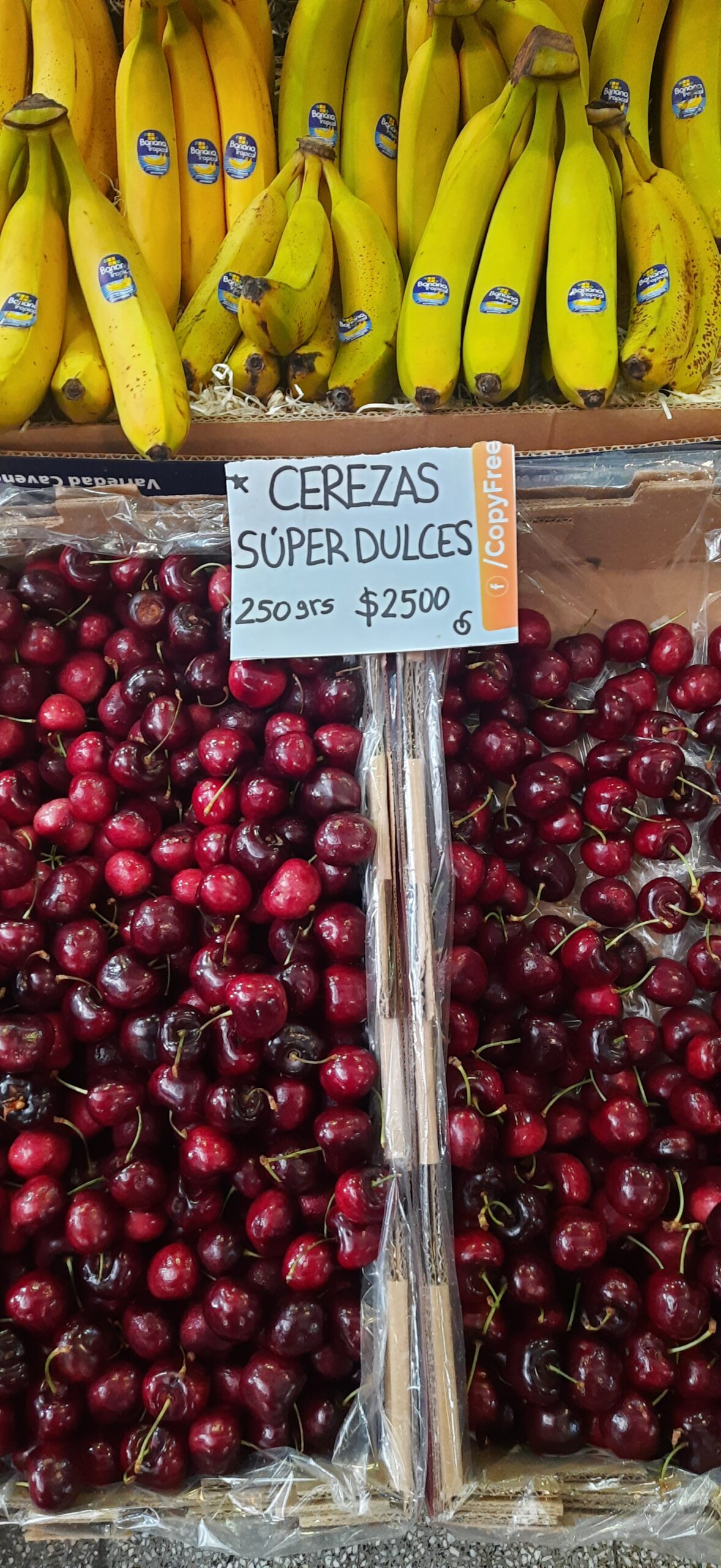 mercado san telmo buenos aires