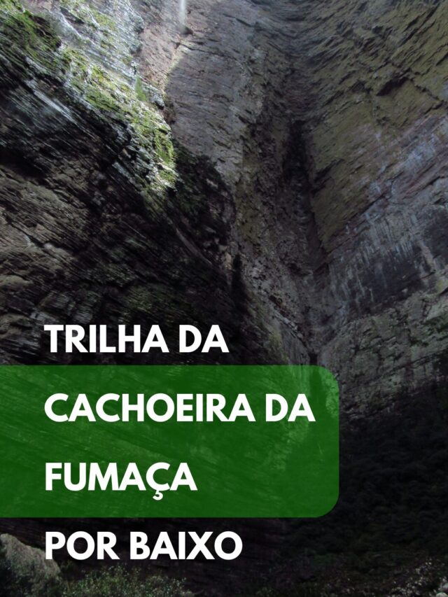 fumaca story (2)