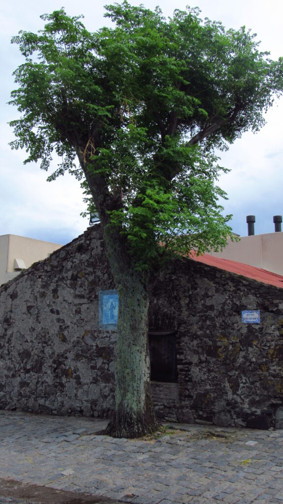 colonia del sacramento fotos 